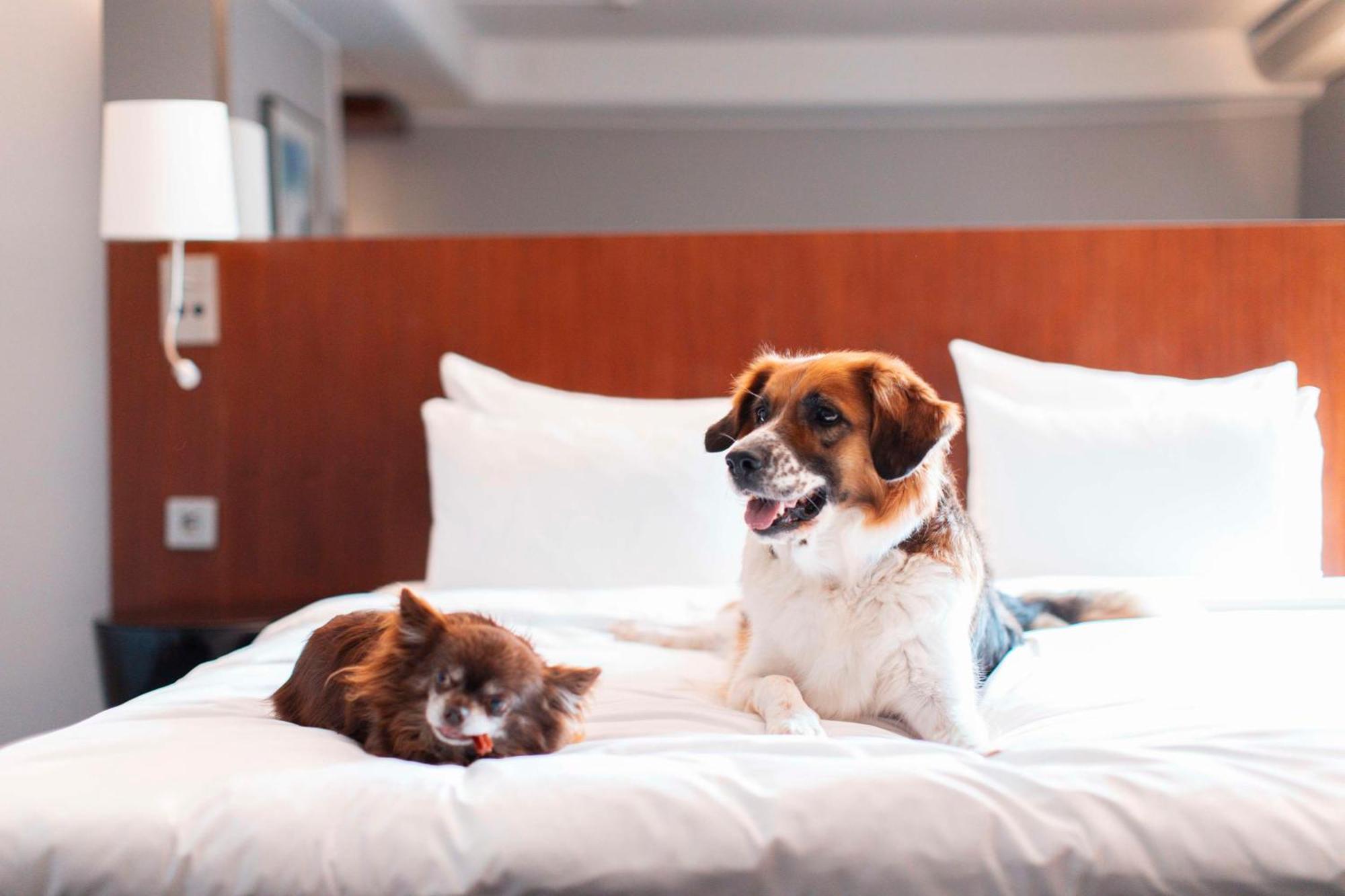 Radisson Blu Arlandia Hotel, Stockholm-Arlanda Eksteriør billede